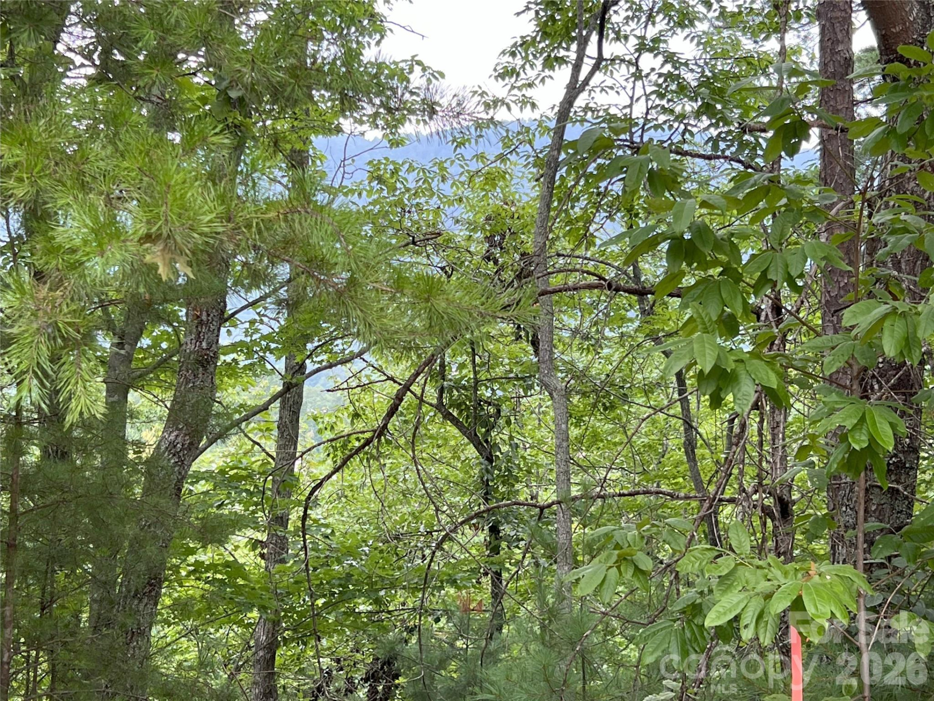 0 Stratford Drive #19 - Photo 4