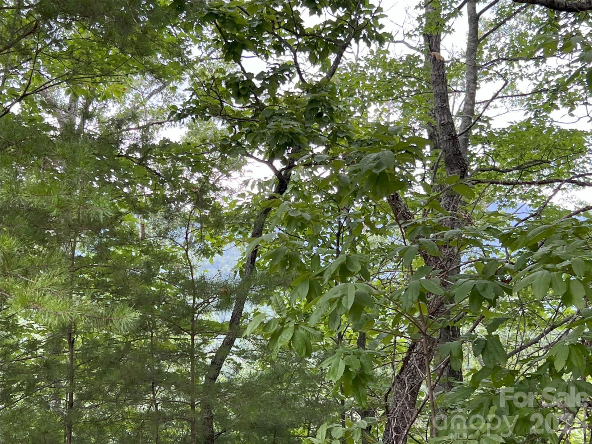 0 Stratford Drive #19 - Photo 5