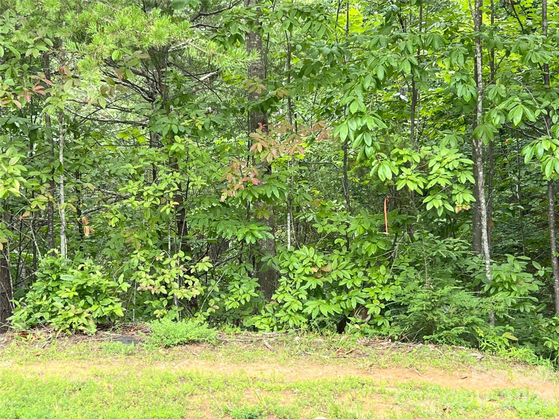 0 Stratford Drive #19 - Photo 8