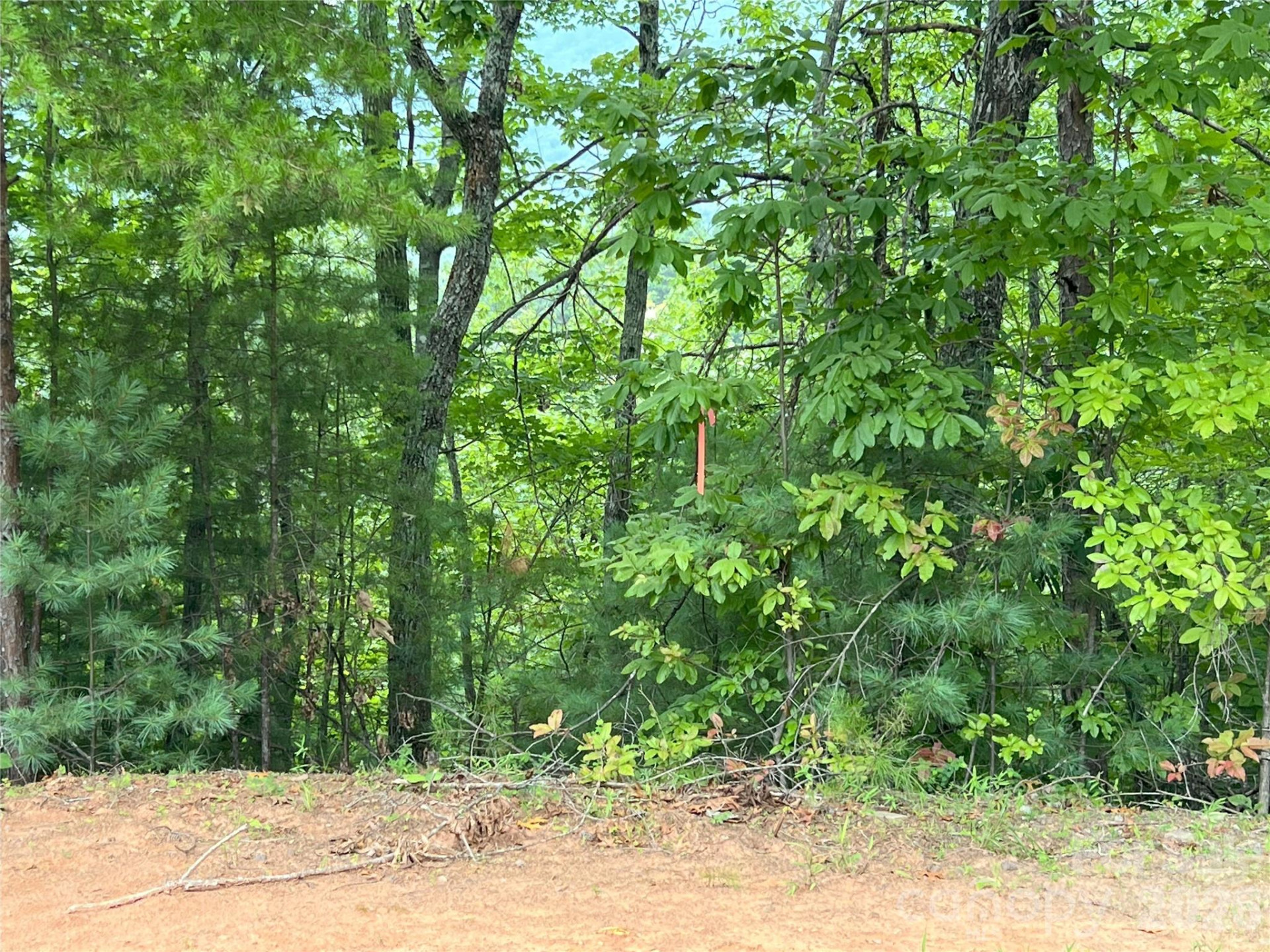 0 Stratford Drive #19 - Photo 9