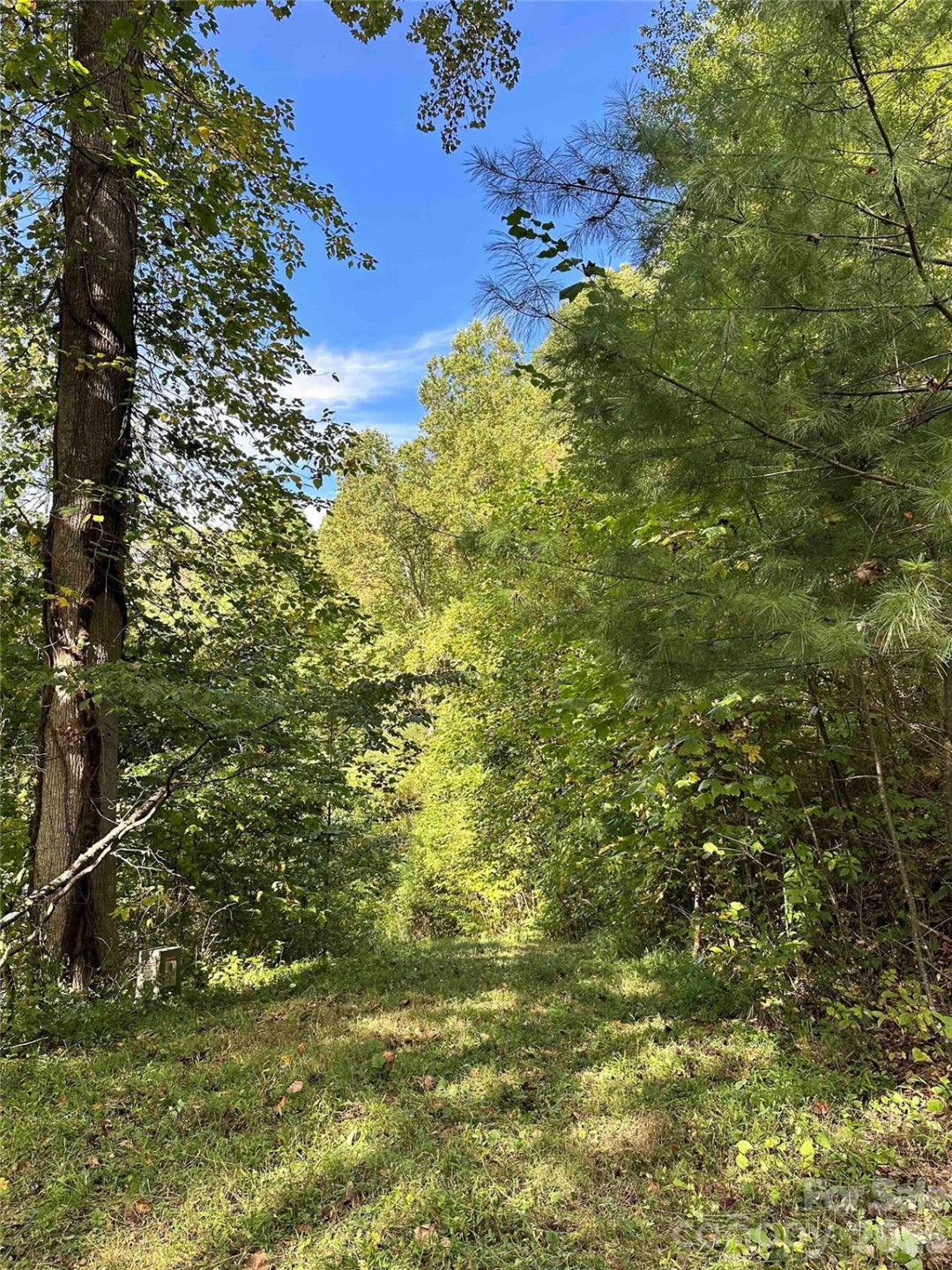 94 Locust Grove Lane - Photo 2