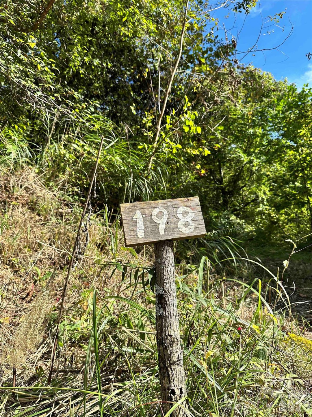 94 Locust Grove Lane - Photo 3