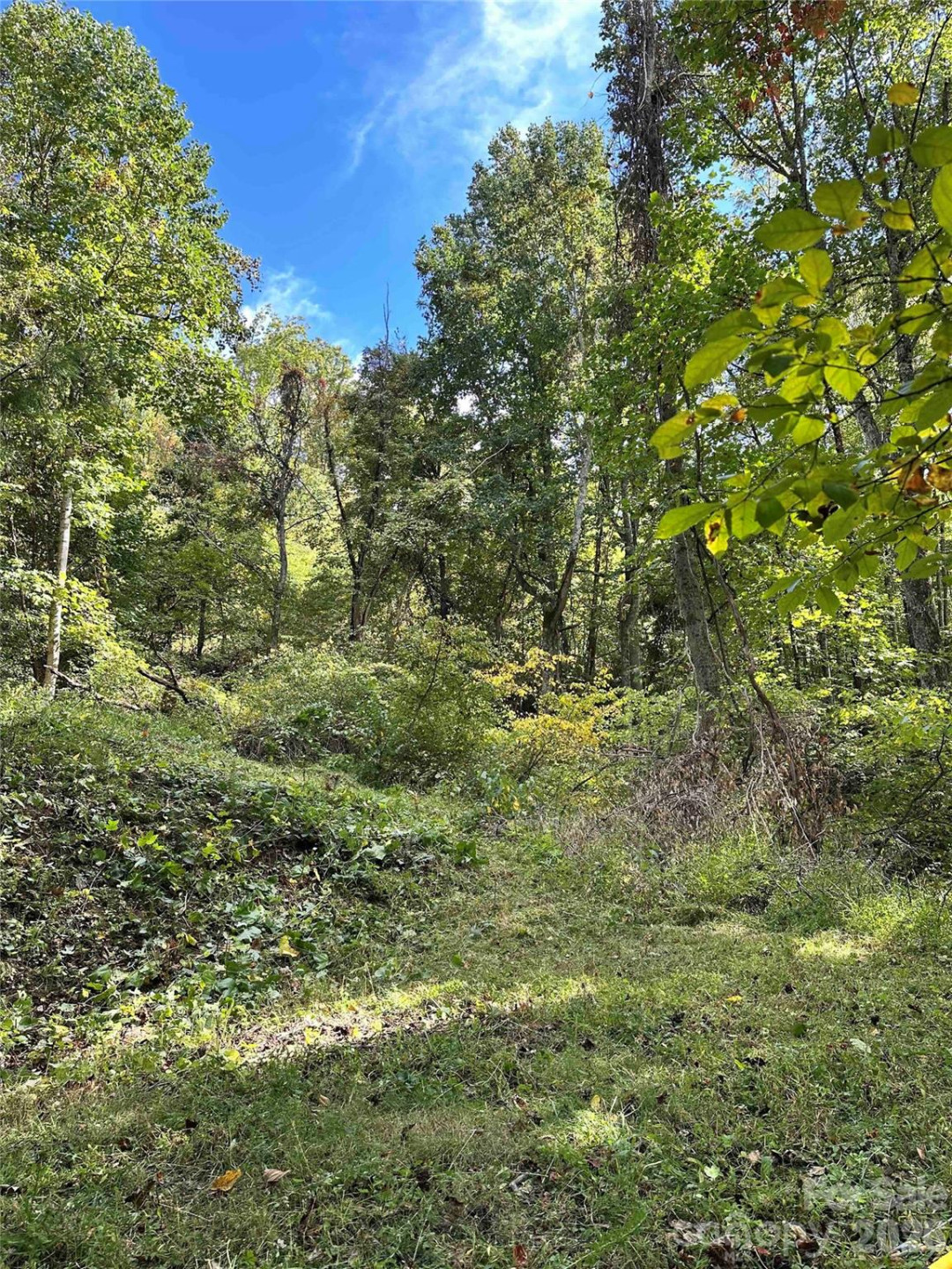 94 Locust Grove Lane - Photo 5