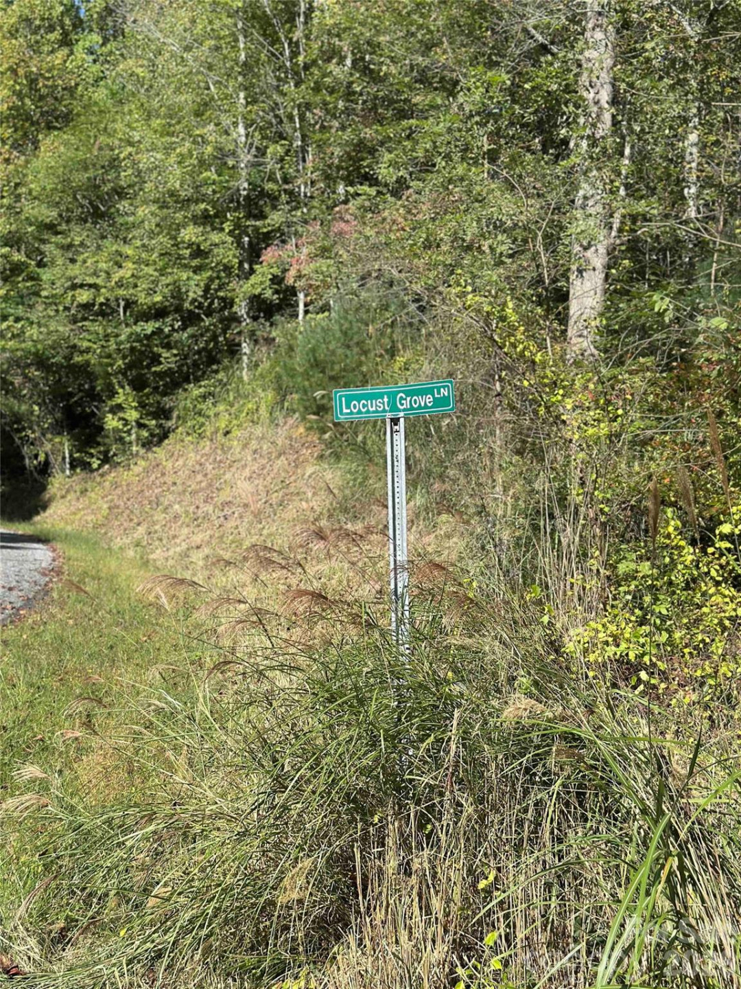 94 Locust Grove Lane - Photo 8