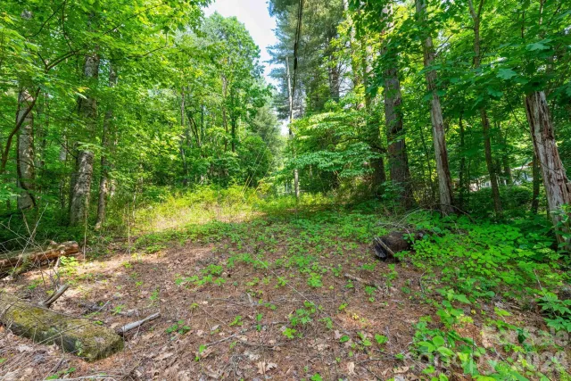 TBD Woodfin Road, Sylva, NC, 28779