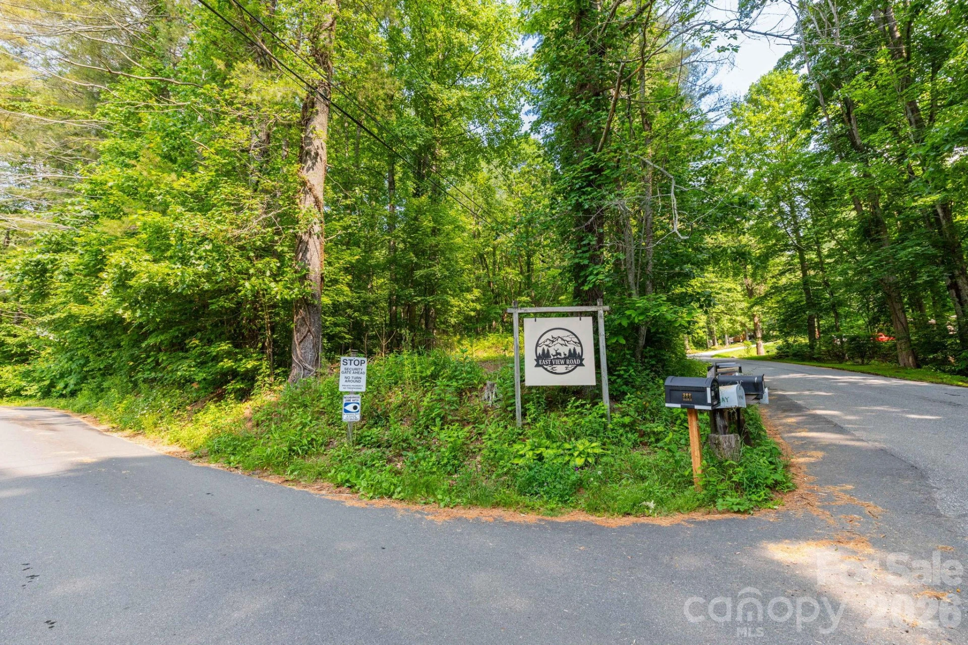TBD Woodfin Road - Photo 2