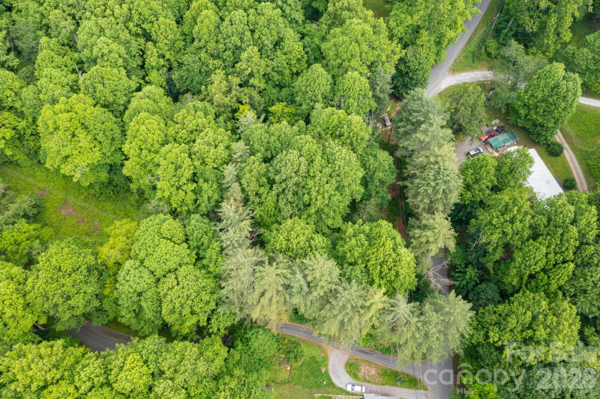 TBD Woodfin Road - Photo 11