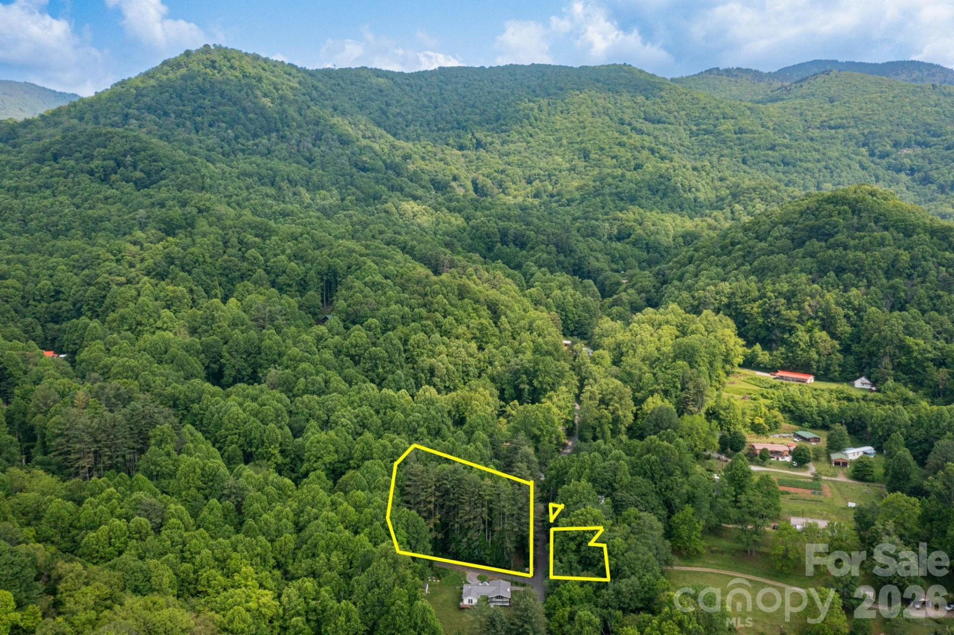 TBD Woodfin Road - Photo 12