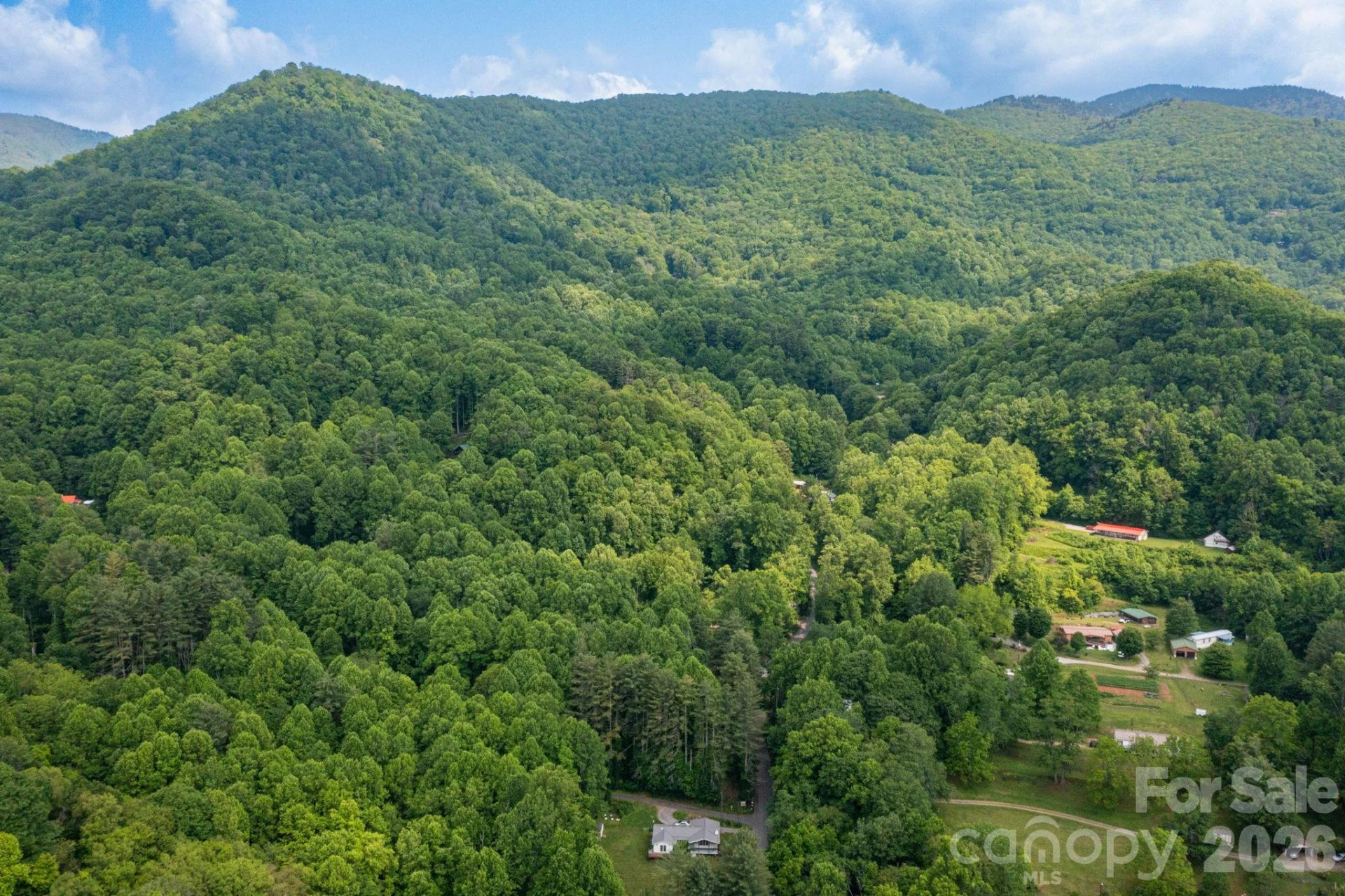 TBD Woodfin Road - Photo 13