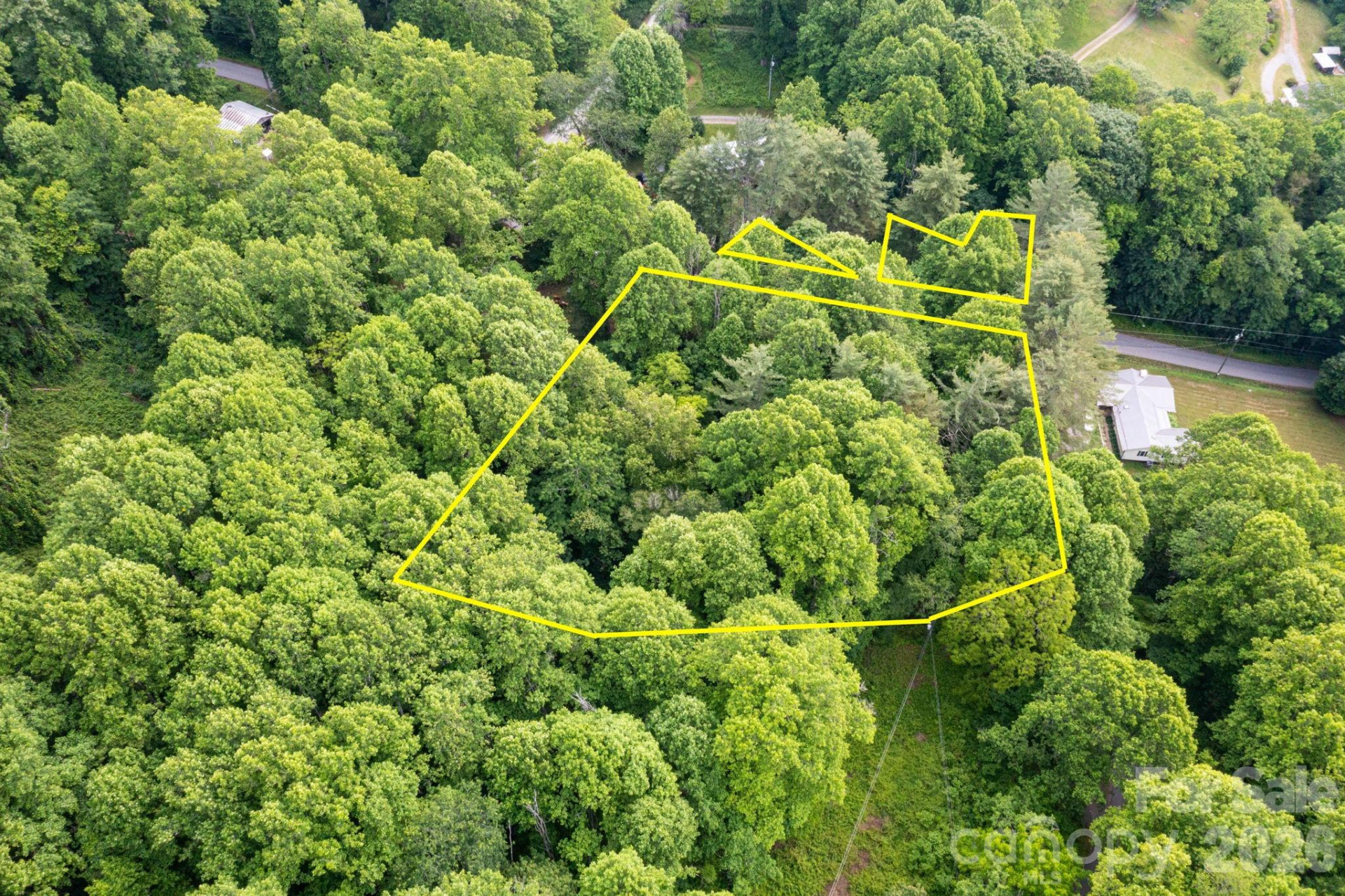 TBD Woodfin Road - Photo 14