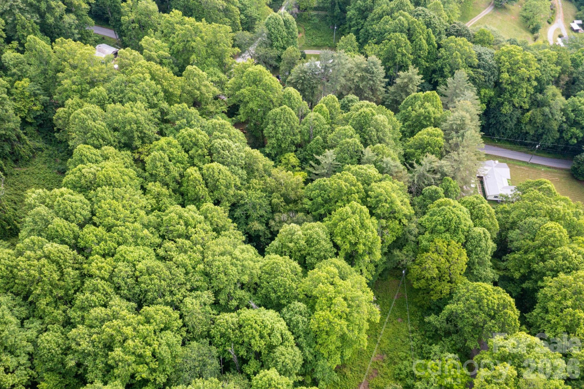 TBD Woodfin Road - Photo 15