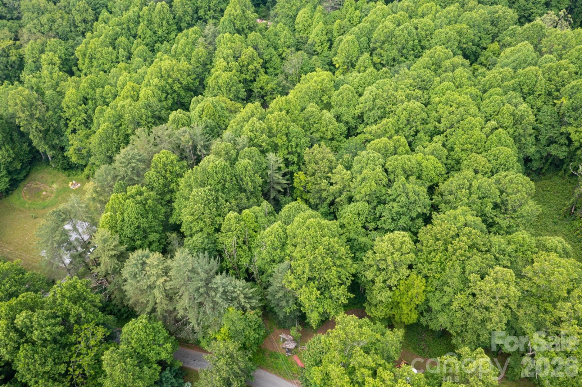 TBD Woodfin Road - Photo 17