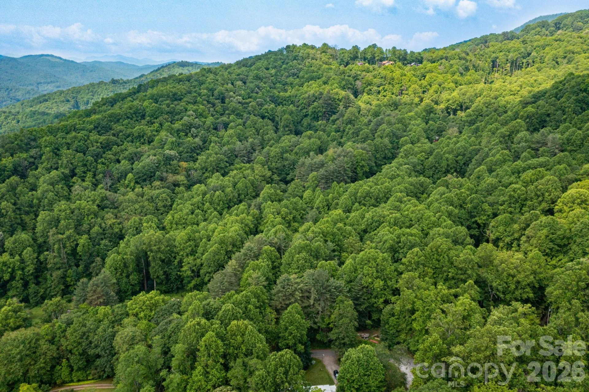 TBD Woodfin Road - Photo 19