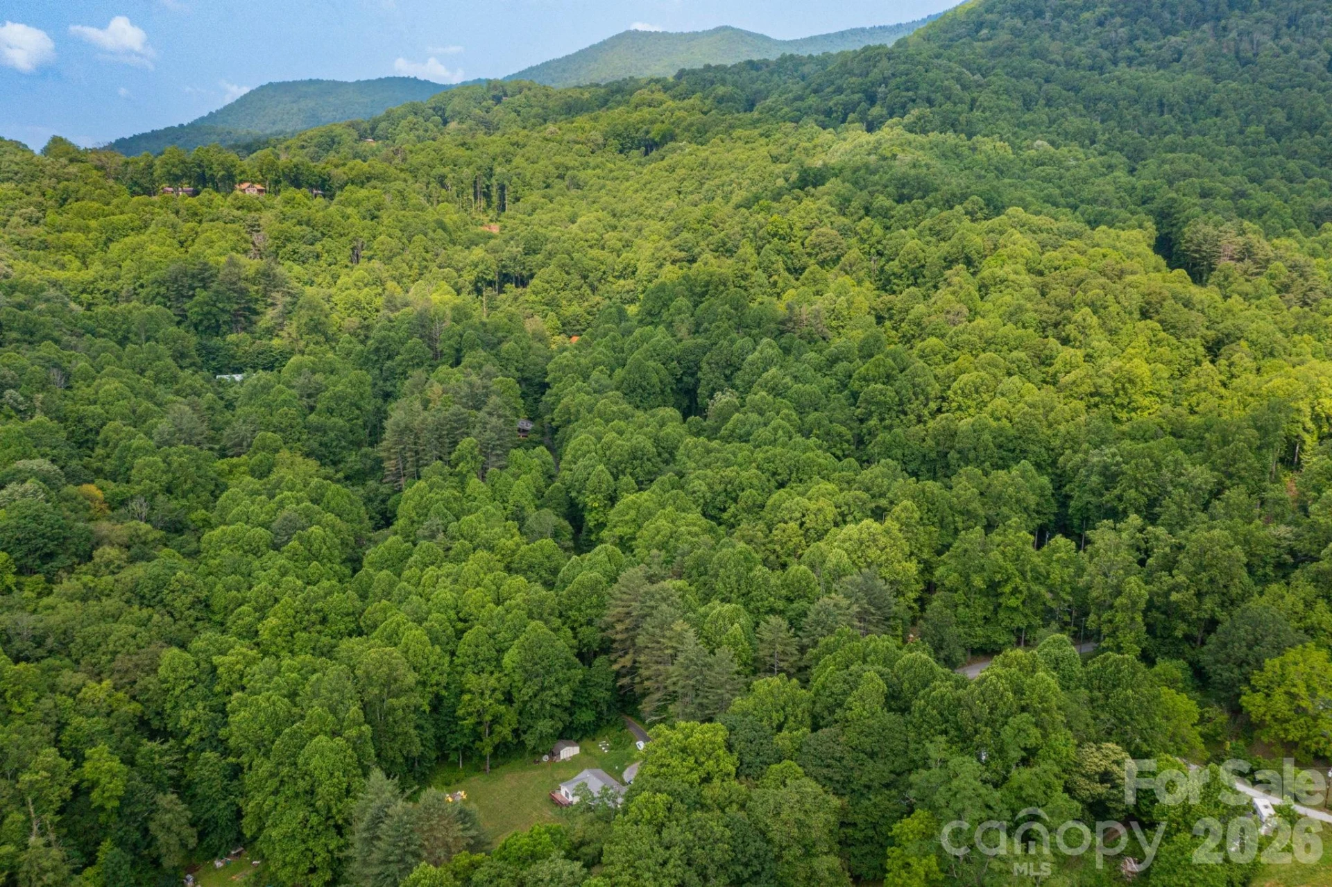 TBD Woodfin Road - Photo 21