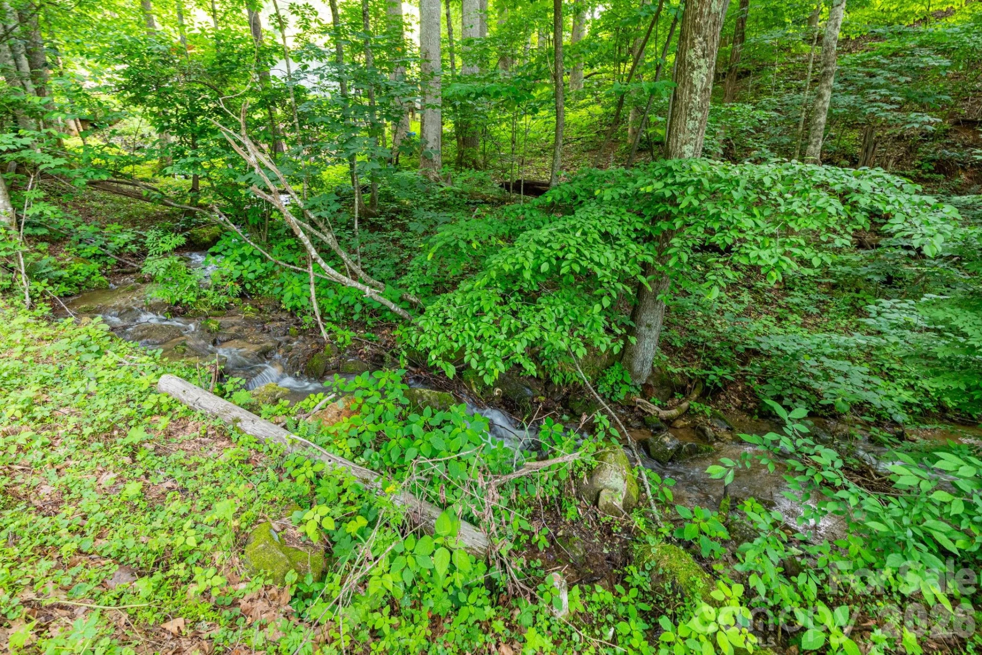 TBD Woodfin Road - Photo 4