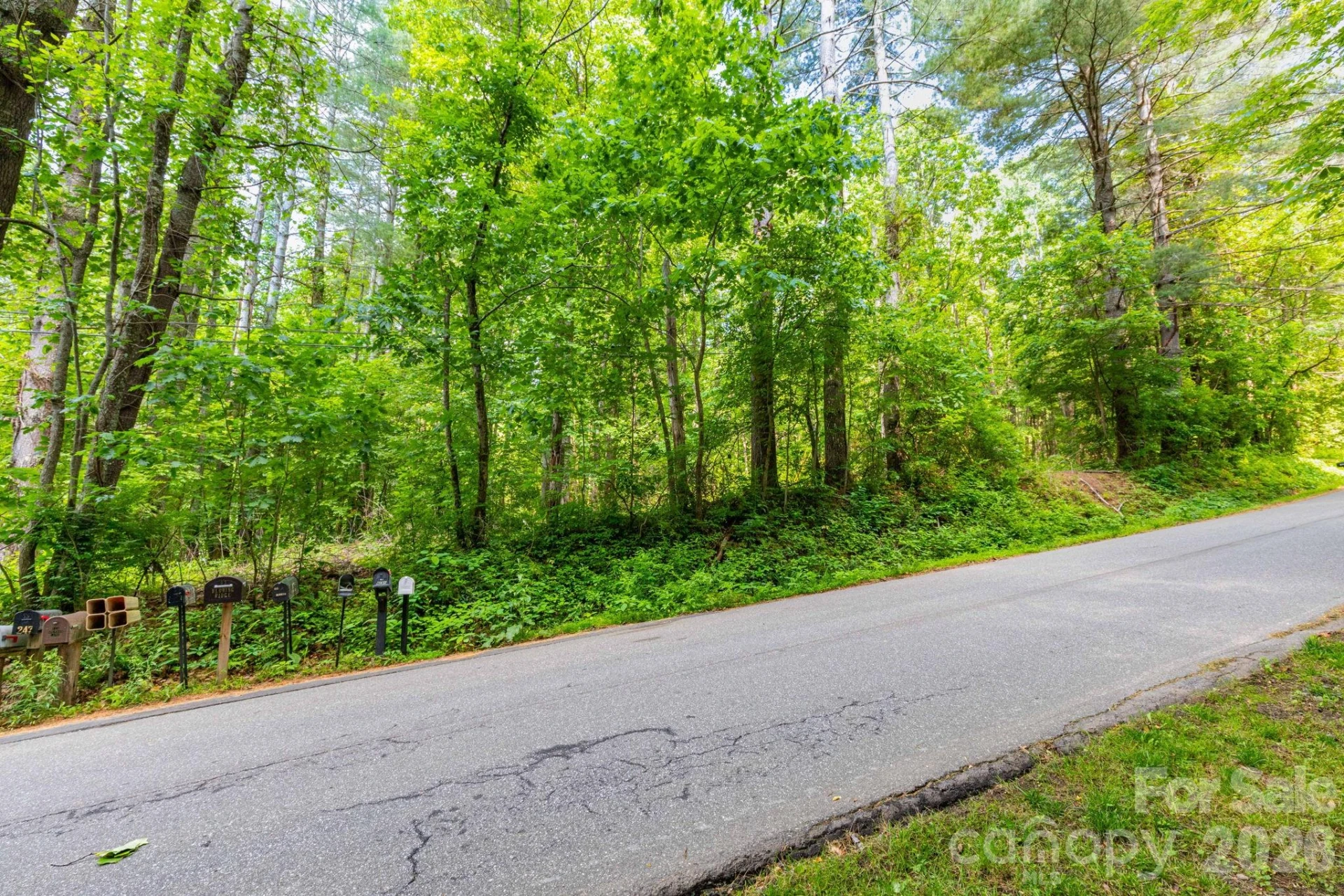 TBD Woodfin Road - Photo 5