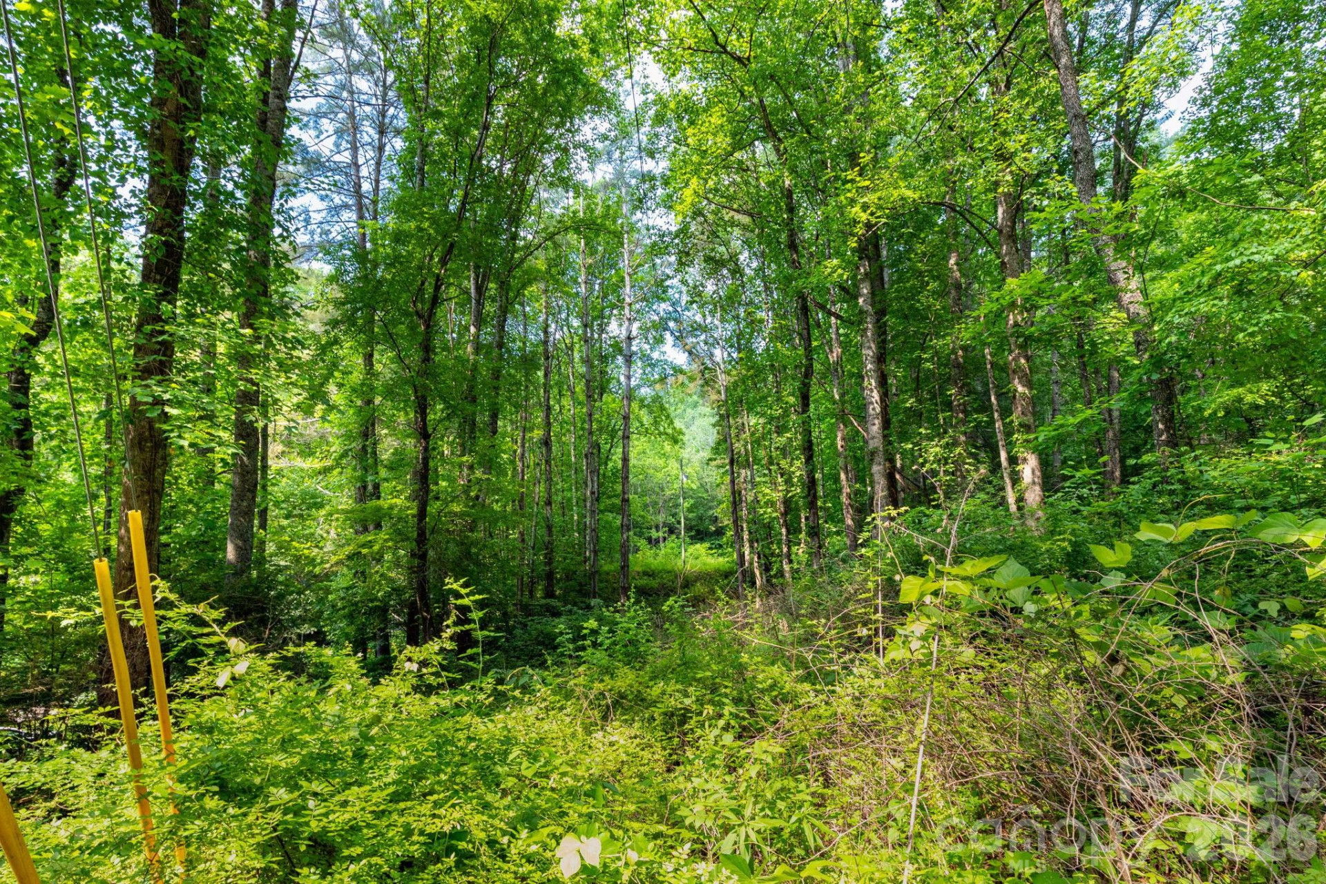 TBD Woodfin Road - Photo 6