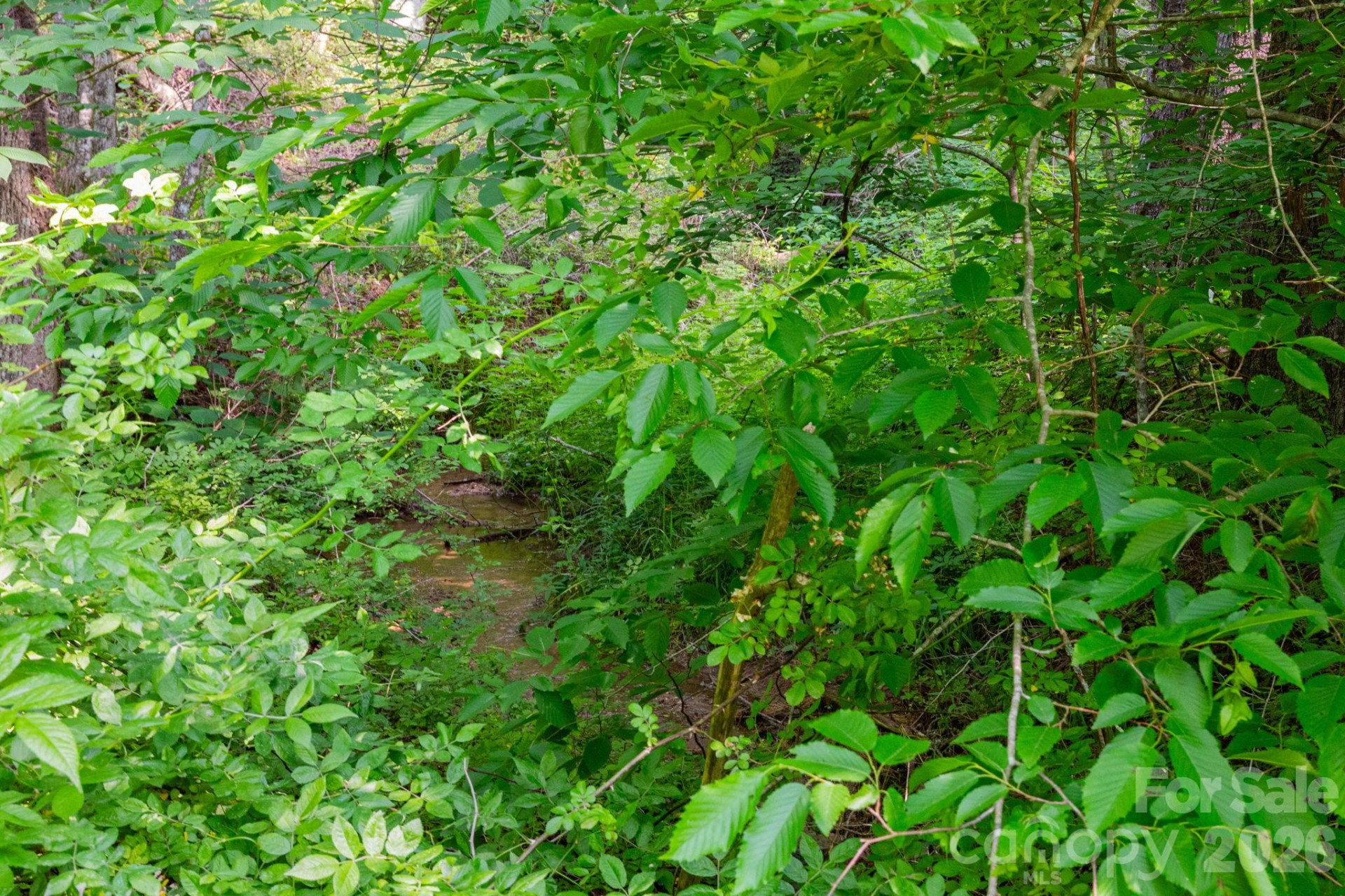 TBD Woodfin Road - Photo 7