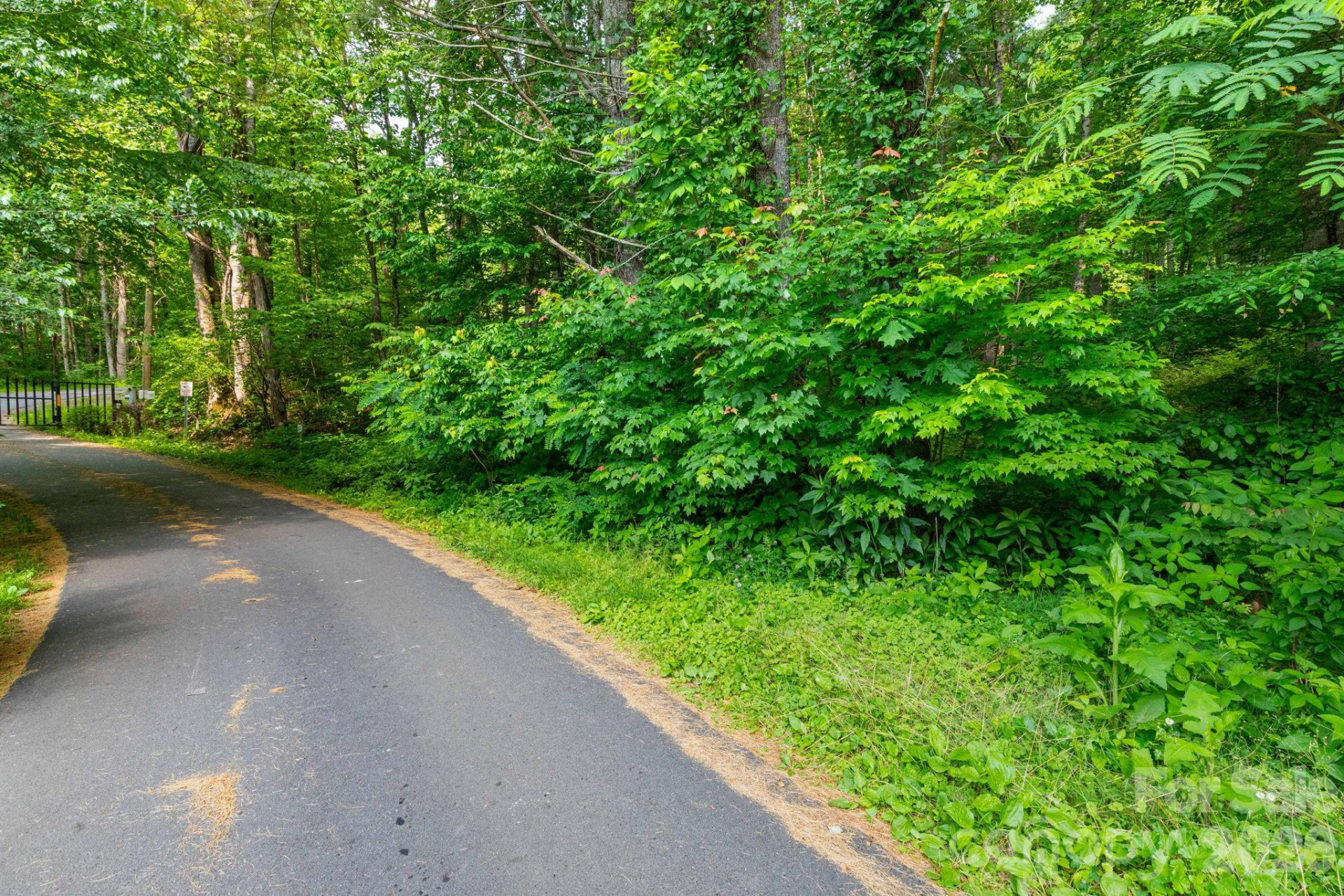 TBD Woodfin Road - Photo 8