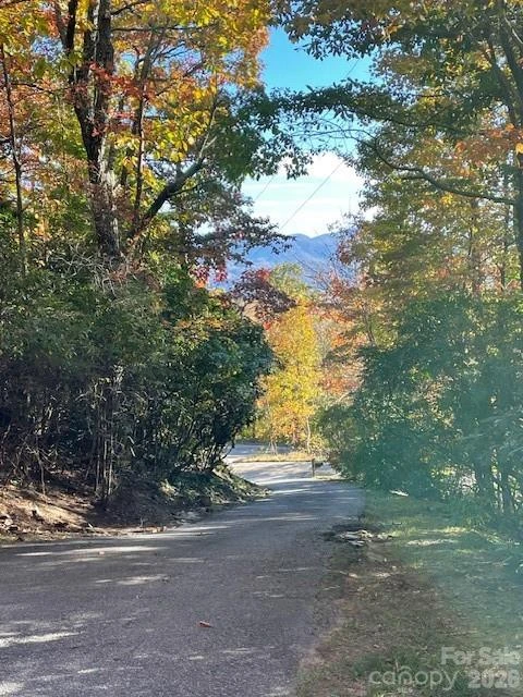425 Flat Top Mountain Road - Photo 45