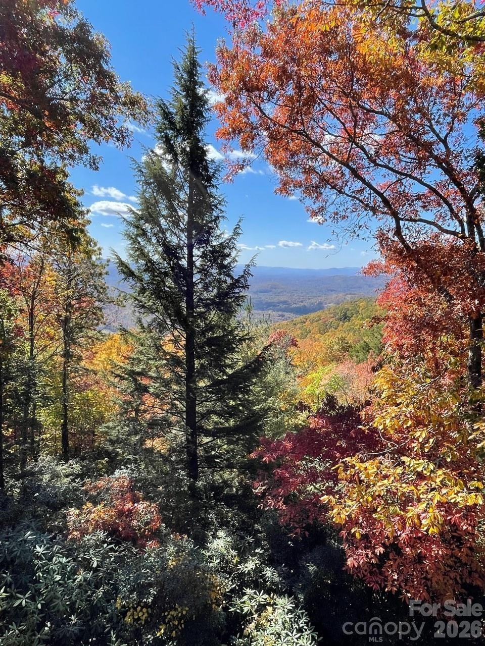 425 Flat Top Mountain Road - Photo 46