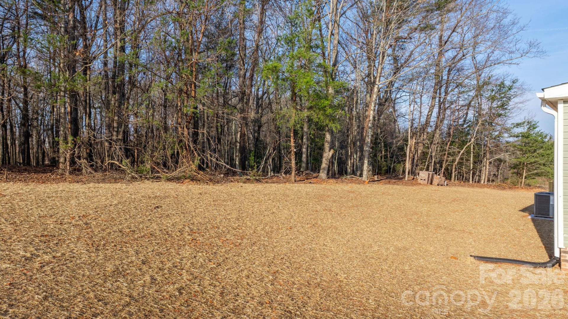4963 Rhoney Road - Photo 25