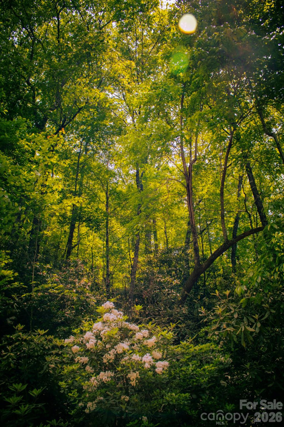 TBD Fox Den Road #57&59 - Photo 3