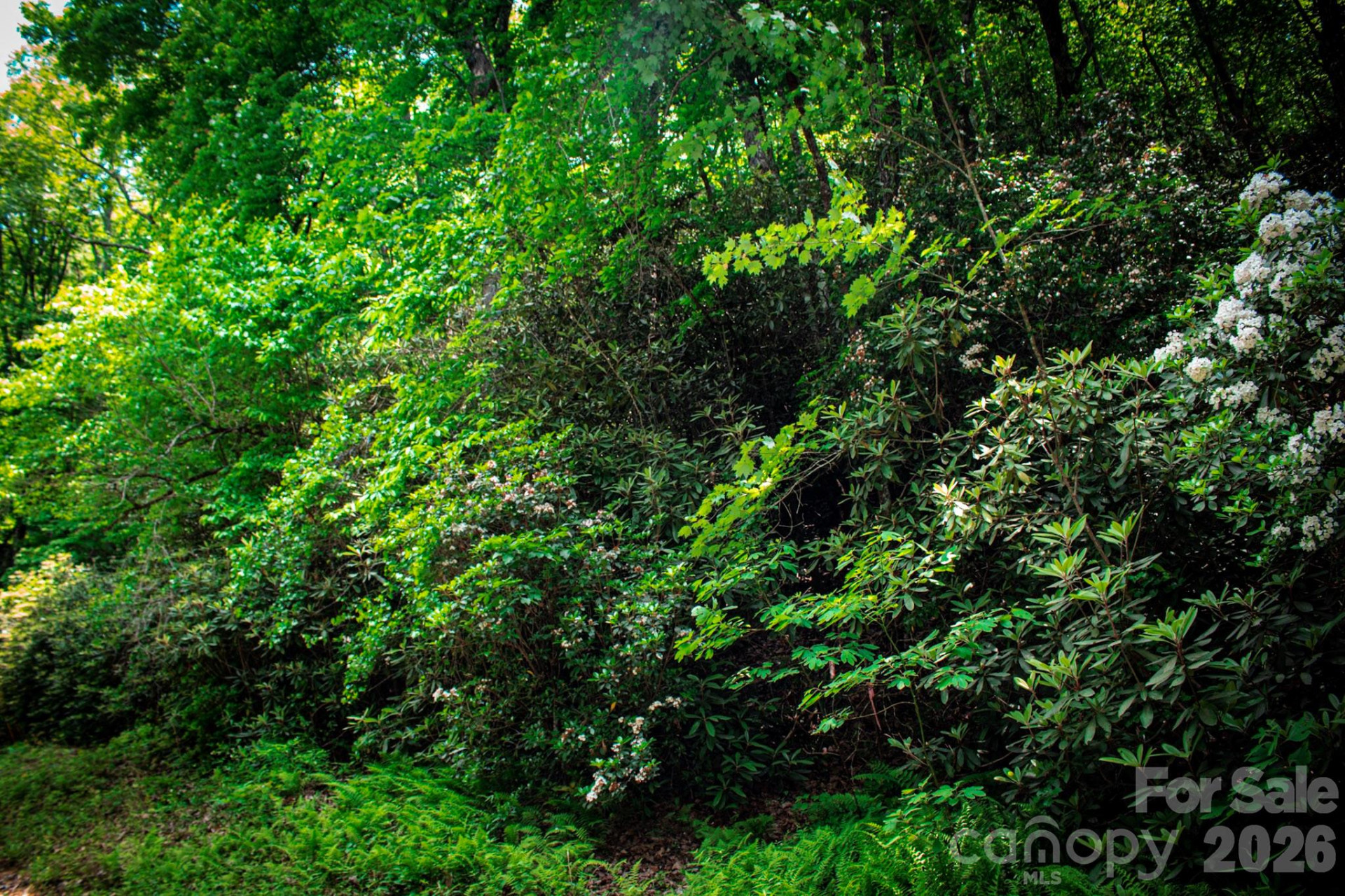 TBD Fox Den Road #57&59 - Photo 4