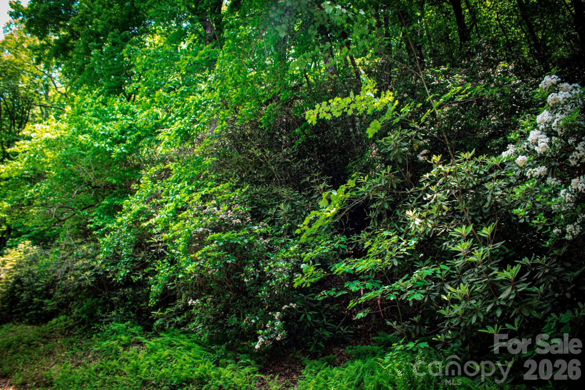 TBD Fox Den Road #57&59 - Photo 4