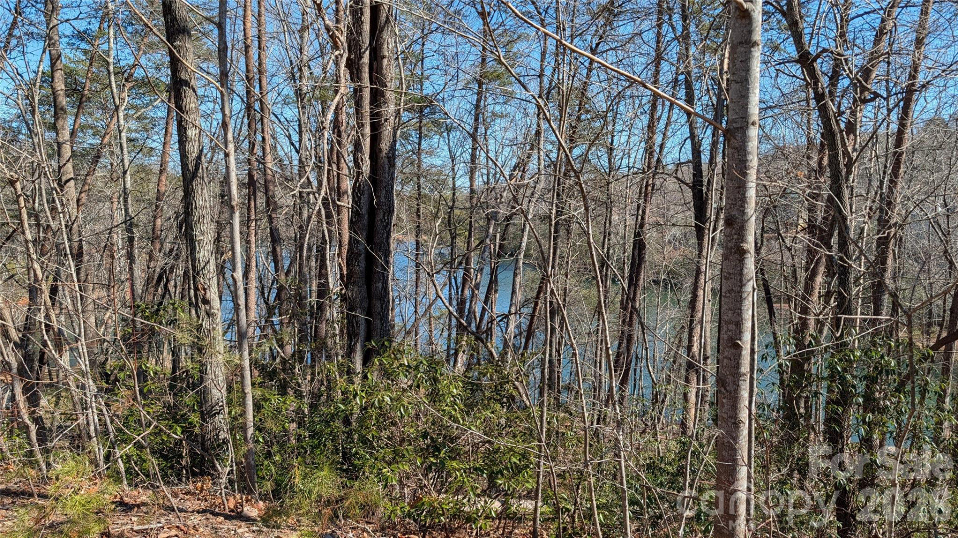 0 Lakewood Drive - Photo 3