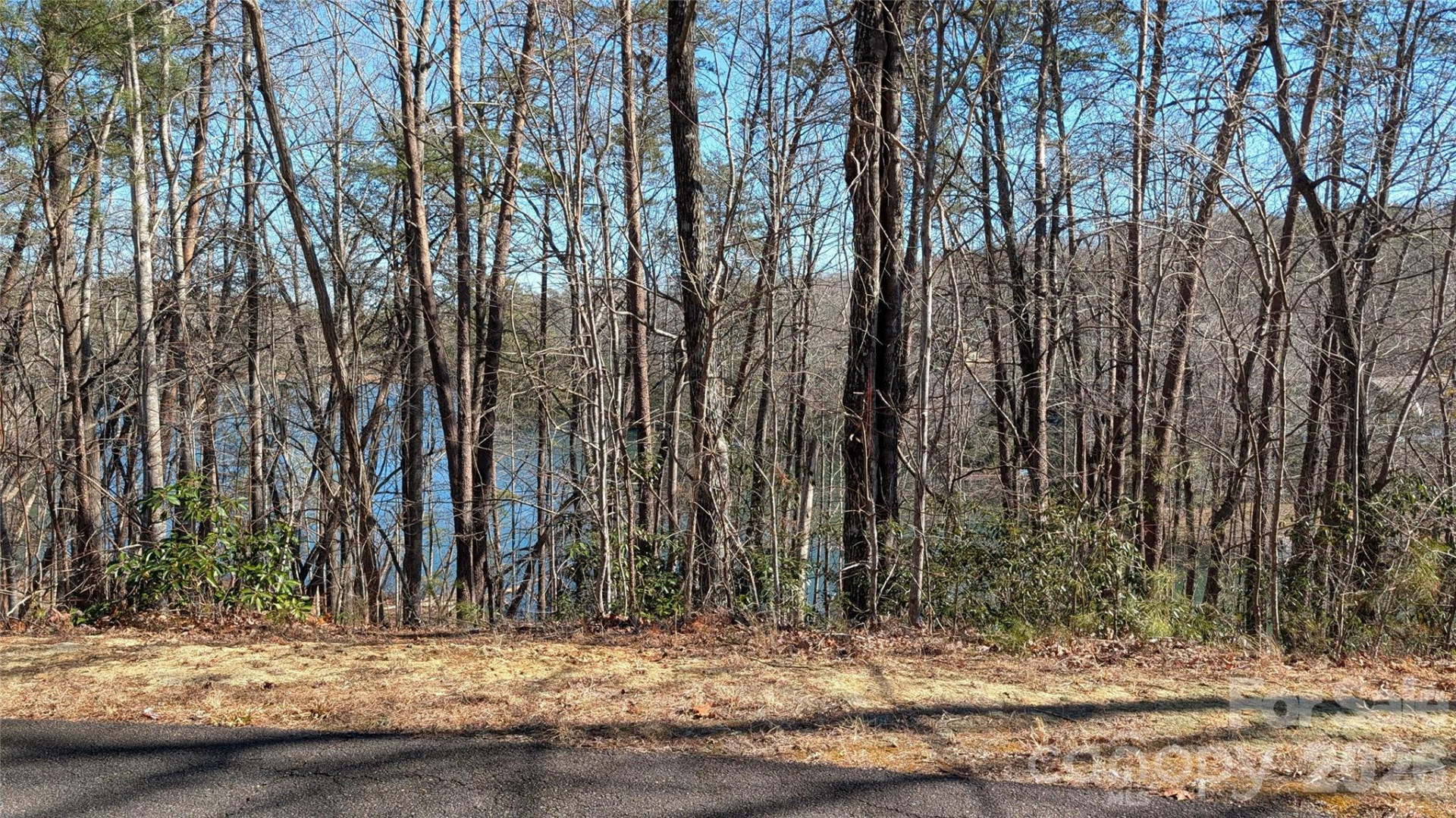 0 Lakewood Drive - Photo 5