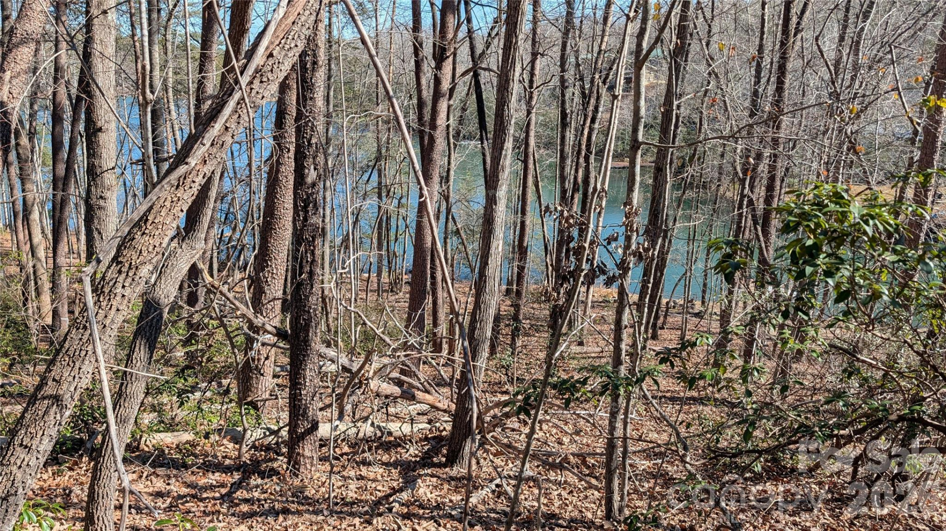 0 Lakewood Drive - Photo 6