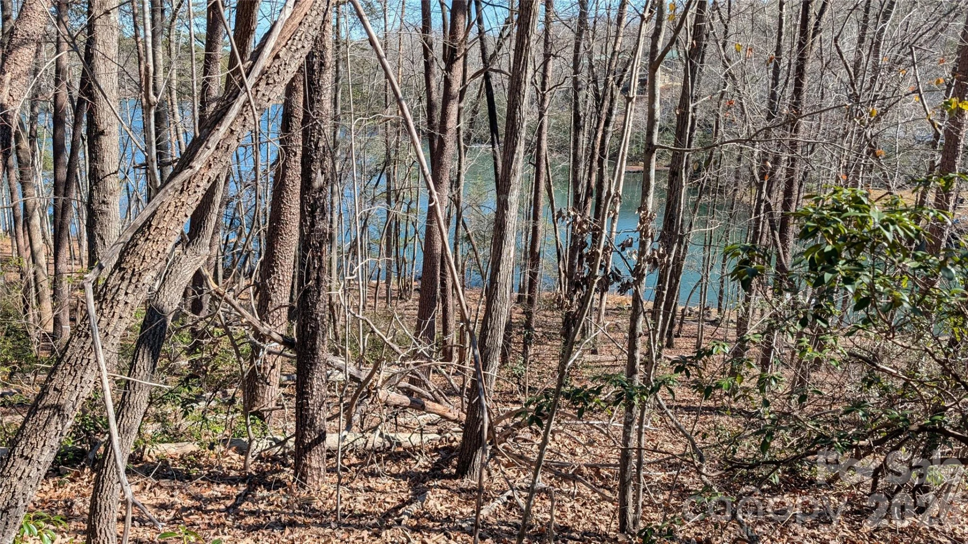 0 Lakewood Drive - Photo 6