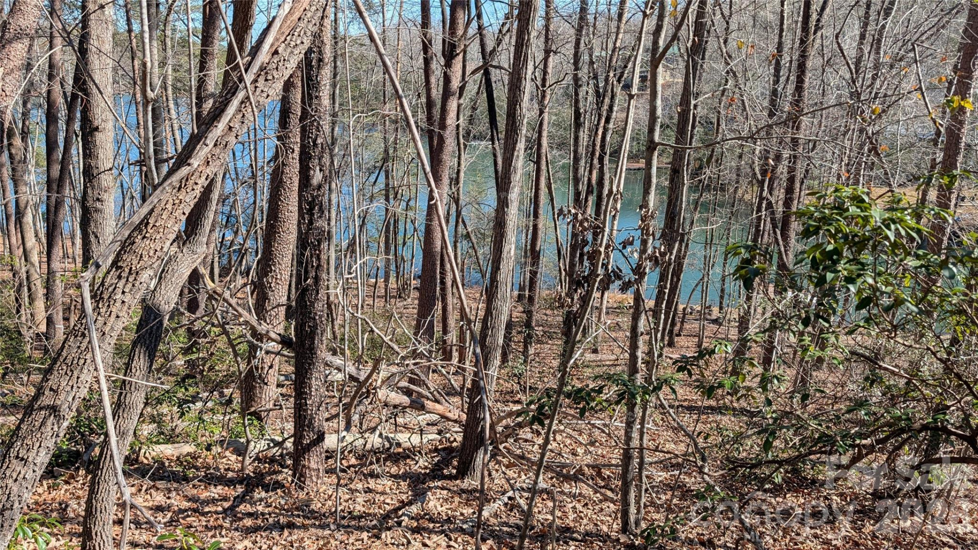 0 Lakewood Drive - Photo 7