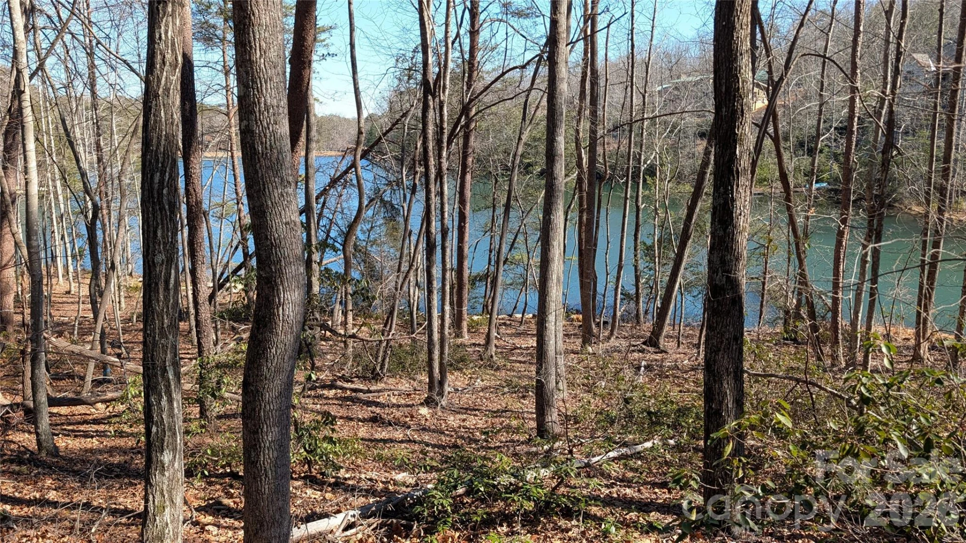 0 Lakewood Drive - Photo 8