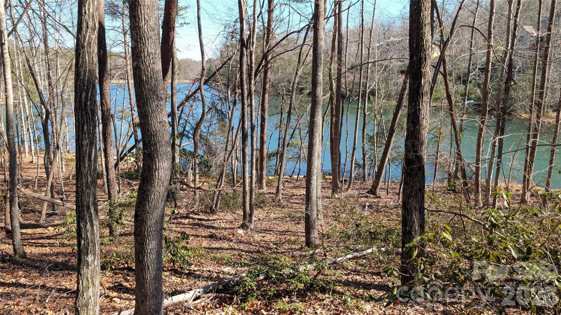 0 Lakewood Drive - Photo 9