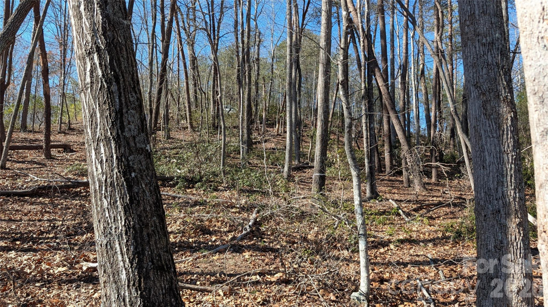 0 Lakewood Drive - Photo 10