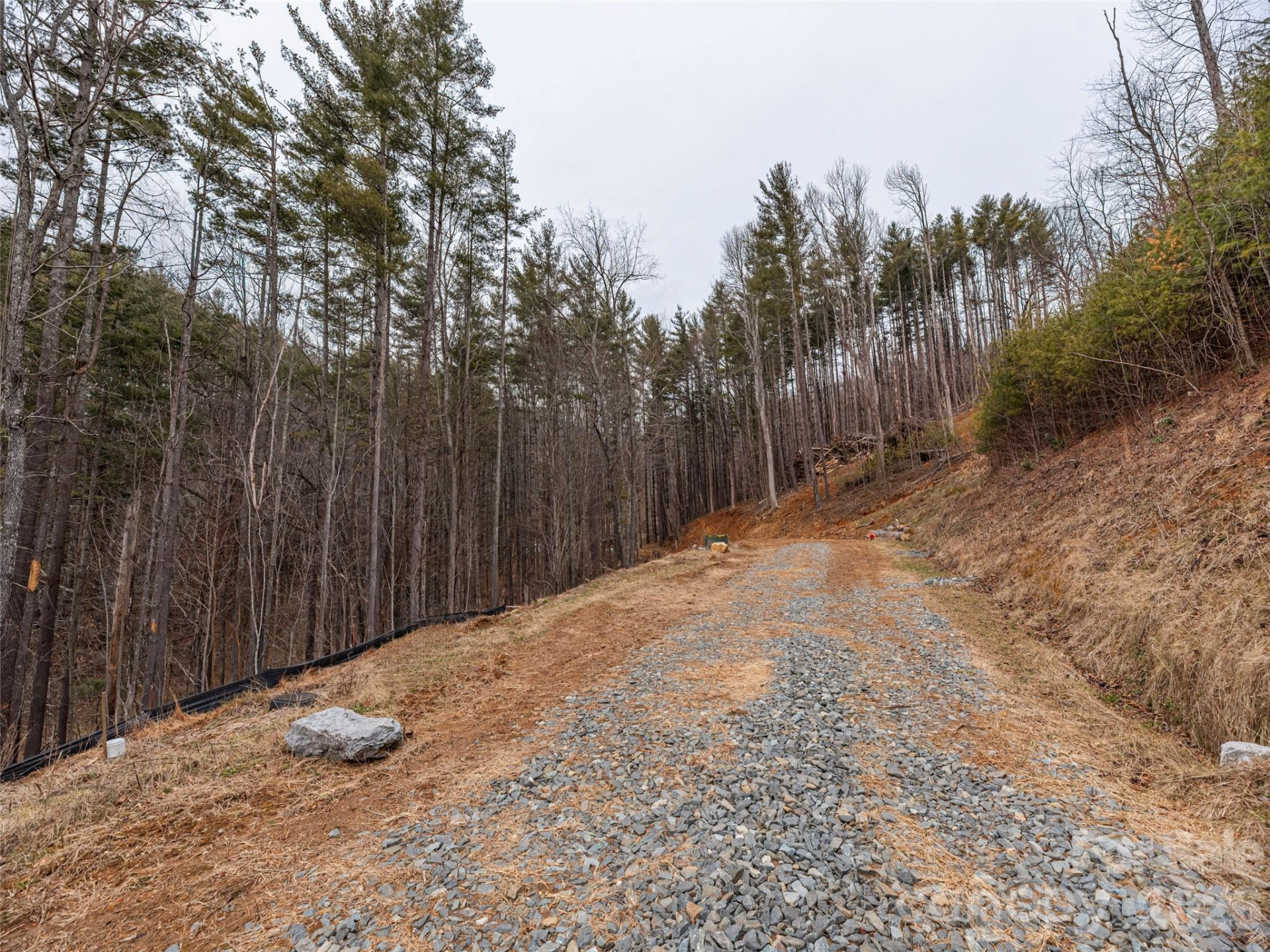 9 Freshwater Cove - Photo 2