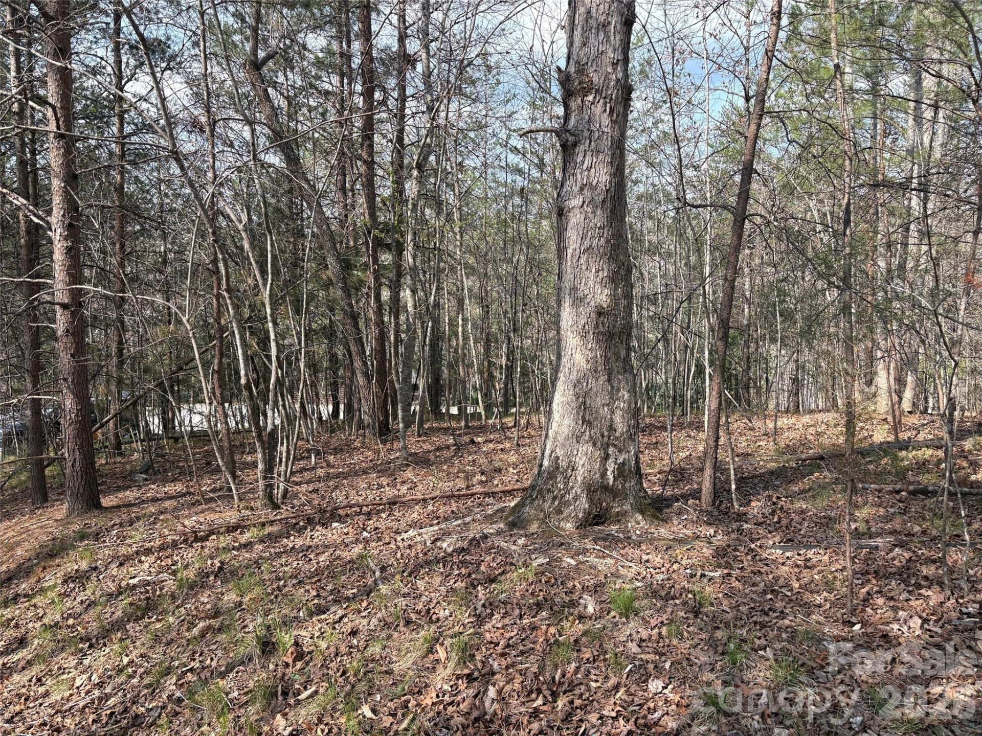 0 Valley Drive #142 - Photo 5