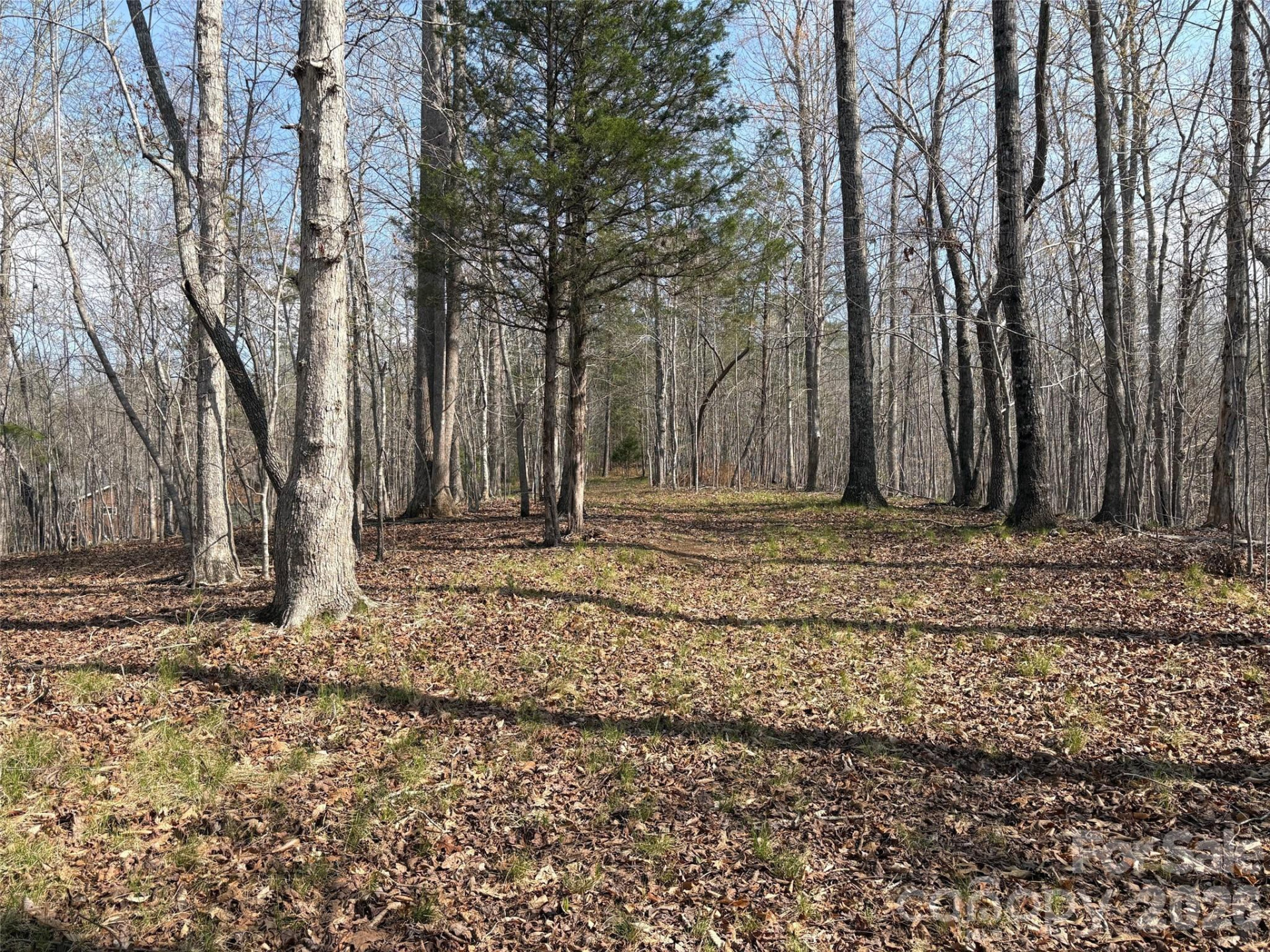 0 Valley Drive #142 - Photo 7