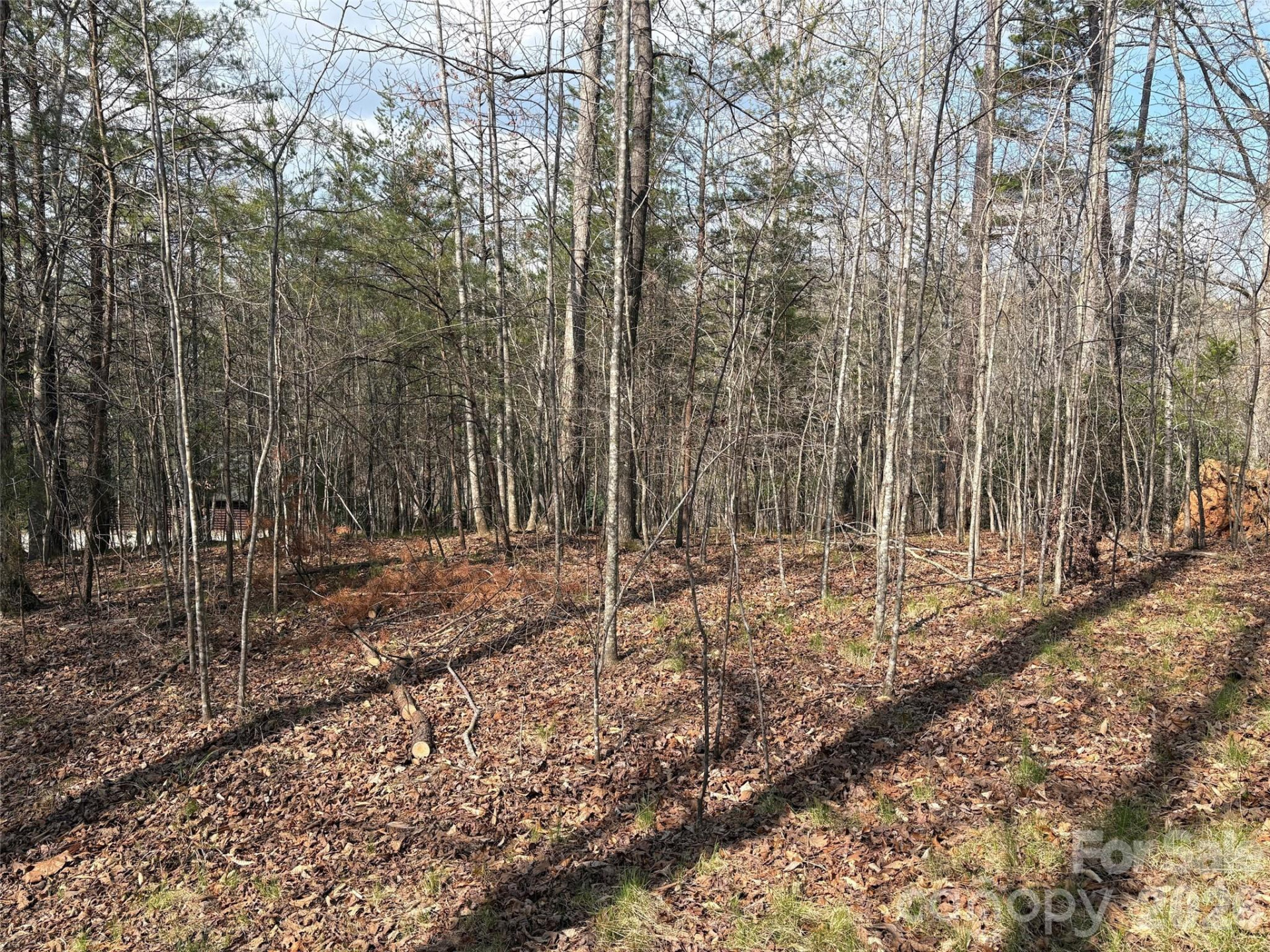 0 Valley Drive #142 - Photo 8