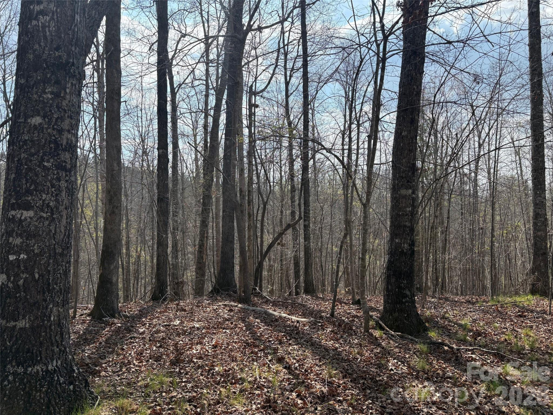 0 Valley Drive #142 - Photo 10