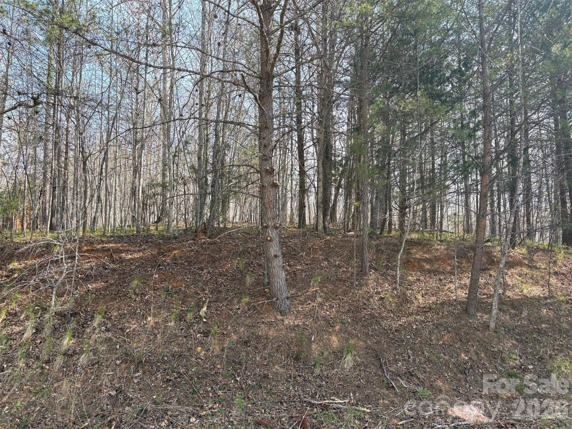 0 Valley Drive #142 - Photo 11