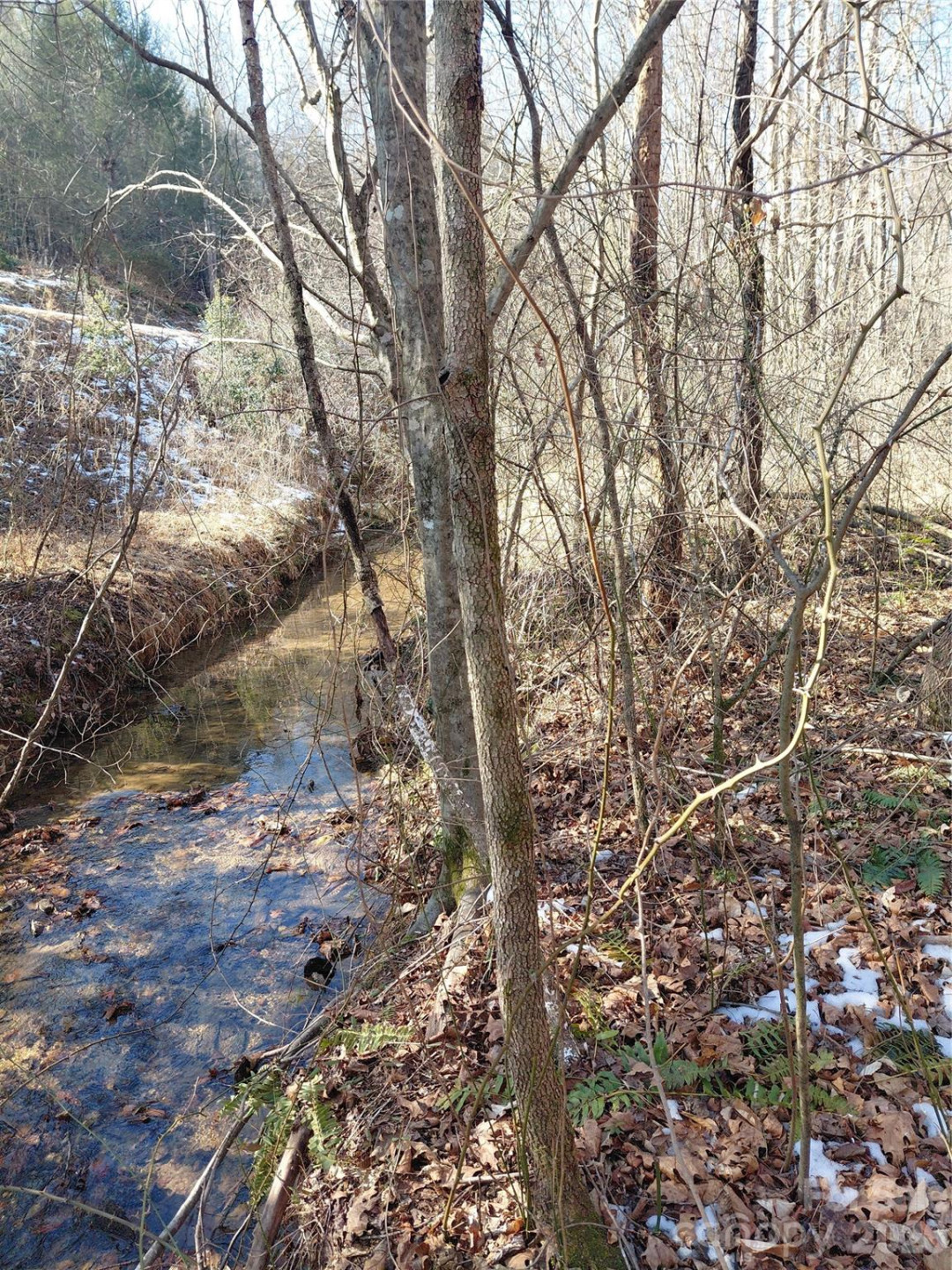 3825 Wood Glen Drive #5 - Photo 2