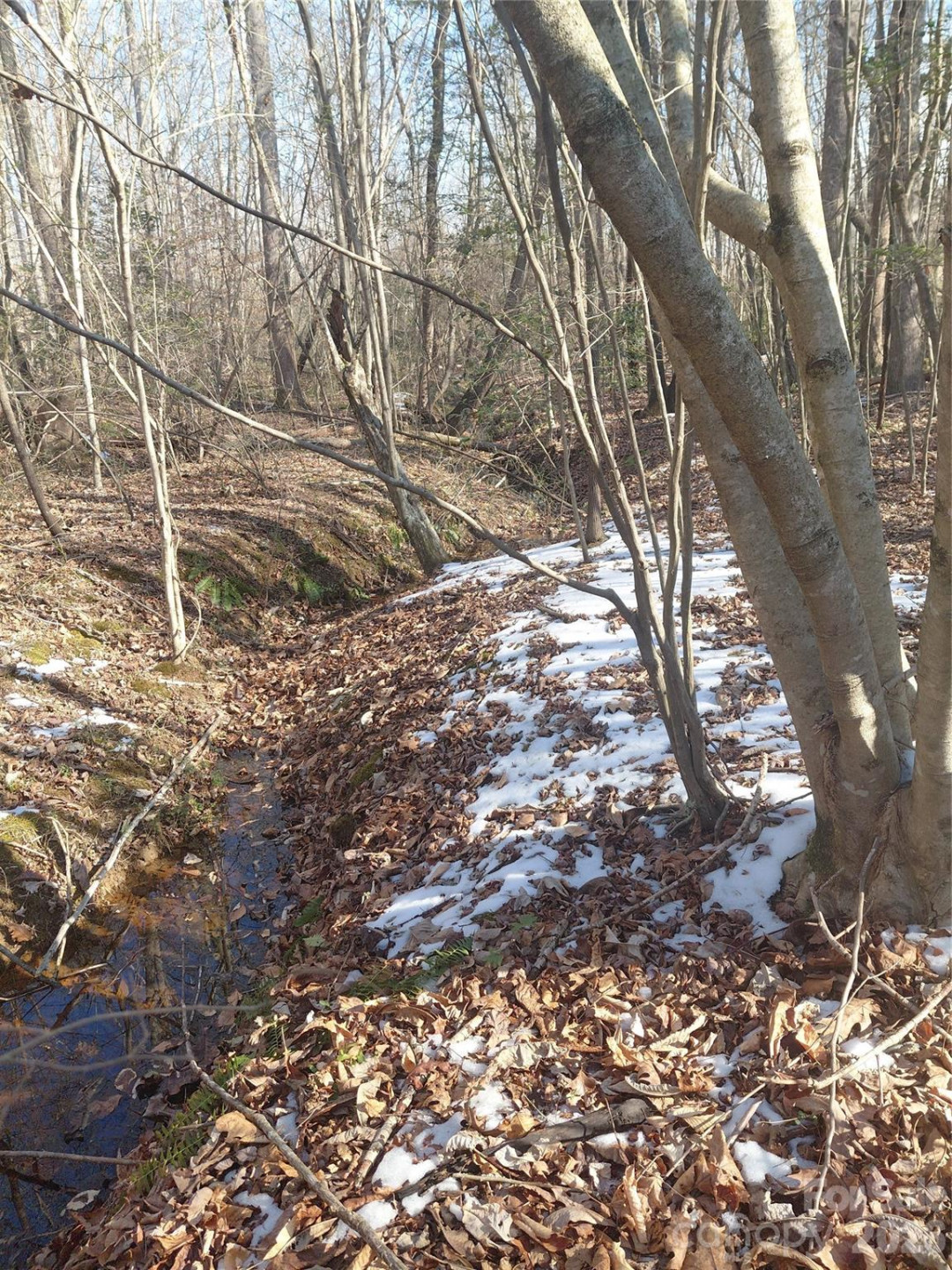 3825 Wood Glen Drive #5 - Photo 3