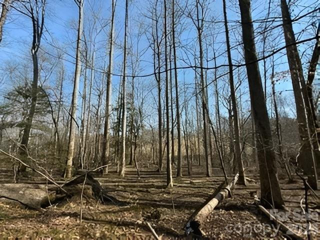 3825 Wood Glen Drive #5 - Photo 4