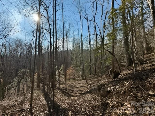 3825 Wood Glen Drive #5 - Photo 5