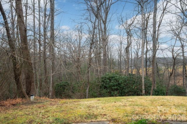 38 Gollum Drive, Fairview, NC, 28730
