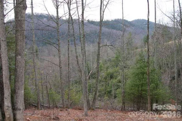 0000 Silverglen Way