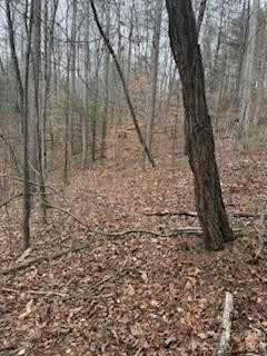 0000 Silverglen Way - Photo 7